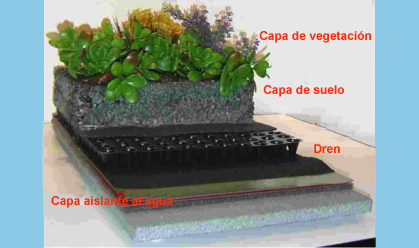 Azotea verde